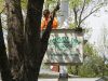 Complete Tree Service